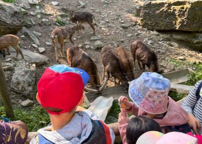Kinder beobachten Wildtiere im Gehege