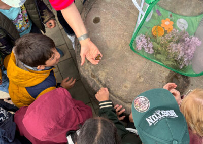Kinder begutachten einen Schmetterling auf der Hand der Lehrerin