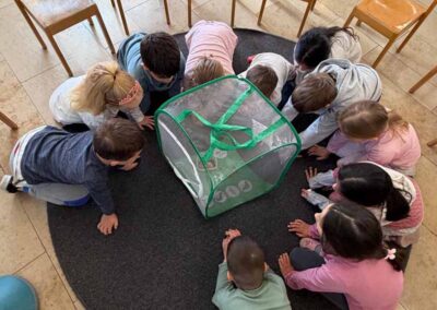 Schülerinnen und Schüler der Klasse 1b beobachten die Raupen
